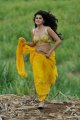 Mogudu Tapsee Hot Stills