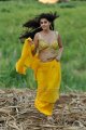 Tapasee Pannu hot in Mogudu