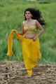 Mogudu Tapsee Hot Stills