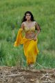 Mogudu Tapsee Hot Stills