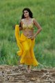 Mogudu Tapsee Hot in Saree Photos