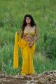 Mogudu Tapsee Hot Stills