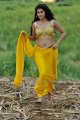 Mogudu Tapsee Hot Photos Gallery