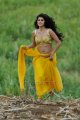 Mogudu Tapsee Hot Stills