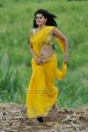 Tapasee Pannu hot in Mogudu