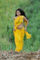 Mogudu Tapsee Hot Stills