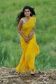 Actress Tapsee Hot in Mogudu