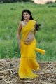 Mogudu Tapsee Hot Stills