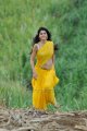 Mogudu Tapsee Hot Photos Gallery