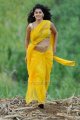 Mogudu Tapsee Hot in Saree Photos