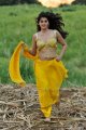 Mogudu Tapsee Hot Photos Gallery