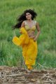 Mogudu Tapsee Hot Stills