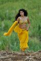 Actress Tapsee Hot in Mogudu