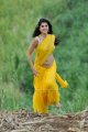 Mogudu Tapsee Hot Stills