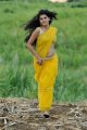 Mogudu Tapsee Hot Stills