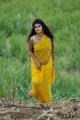 Mogudu Tapsee Hot in Saree Photos