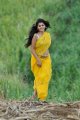 Mogudu Tapsee Hot Stills