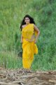 Mogudu Tapsee Hot Stills