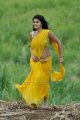 Mogudu Tapsee Hot Stills