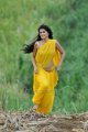 Mogudu Tapsee Hot Stills