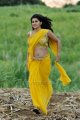 Mogudu Tapsee Hot in Saree Photos