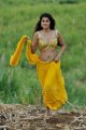 Mogudu Tapsee Hot Stills