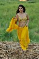 Mogudu Tapsee Hot Stills