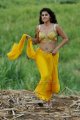 Mogudu Tapsee Hot Stills