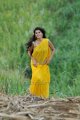 Actress Tapsee Hot in Mogudu