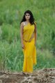 Mogudu Tapsee Hot in Saree Photos