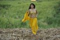 Tapasee Pannu hot in Mogudu