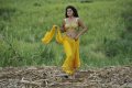 Mogudu Tapsee Hot Stills