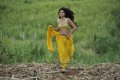 Actress Tapsee Hot in Mogudu