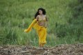 Actress Tapsee Hot in Mogudu