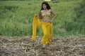 Mogudu Tapsee Hot Stills