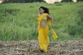 Mogudu Tapsee Hot Stills