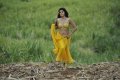 Mogudu Tapsee Hot Stills