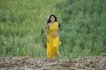 Mogudu Tapsee Hot Stills