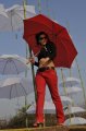 Tapsee Hot Pics in Veeraiah