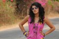 Tapsee Hot Stills in Veeraiah