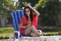 Tapsee Latest Stills in Veeraiah Tamil Movie