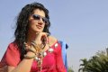 Tapsee Hot Pics in Veeraiah