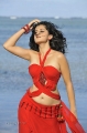 Actress Tapsee Hot Stills in Red Dress at Veera Movie