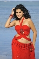 Actress Tapsee Hot Stills in Red Dress at Veera Movie