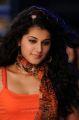 Bullet Raja Tamil Movie Actress Tapsee Hot Stills