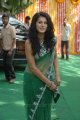 Tapsee Hot Transparent Saree Stills