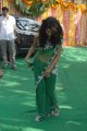 Tapsee Hot Transparent Green Saree Pics