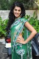 Tapsee Hot Transparent Saree Stills