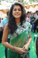 Tapsee Hot Transparent Saree Stills