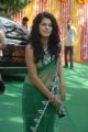 Tapsee Hot Transparent Green Saree Pics